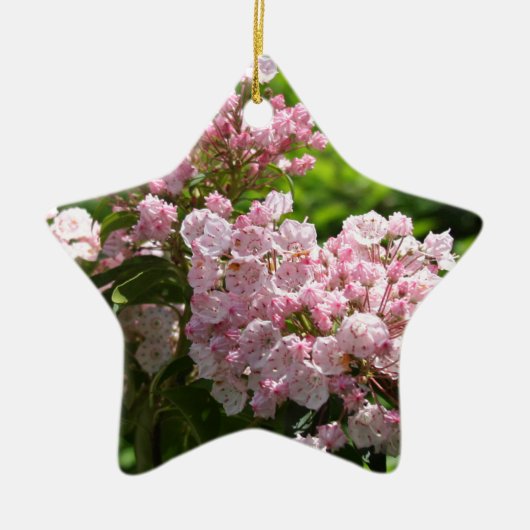  roze bergLaurel Flowers Keramisch Ornament (Voorkant)