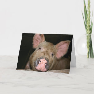 Roze Biggetje Kaart