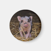 Roze biggetje met zwarte vlekken in stro magneet (Voorkant)