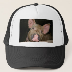 Roze Biggetje Trucker Pet