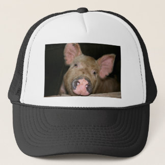 Roze Biggetje Trucker Pet