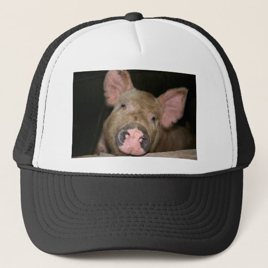 Roze Biggetje Trucker Pet (Voorkant)
