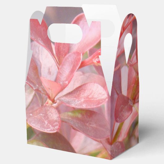  roze bijkantoren bedankdoosjes (Geopend)