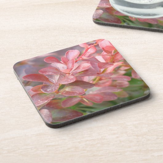  roze bijkantoren bier onderzetter (Linkerzijde)