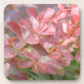  roze bijkantoren bier onderzetter (Voorkant)