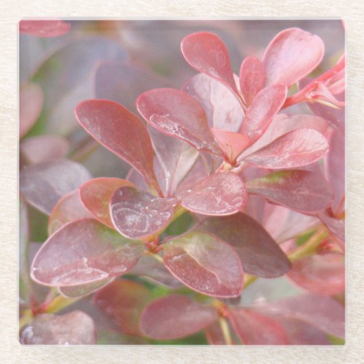  roze bijkantoren glazen onderzetter (Voorkant)