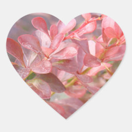  roze bijkantoren hart sticker