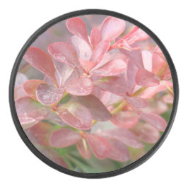  roze bijkantoren hockey puck