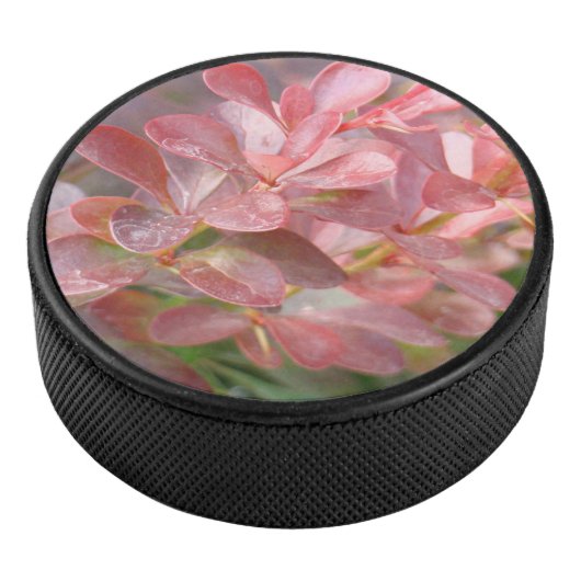  roze bijkantoren hockey puck (3/4)
