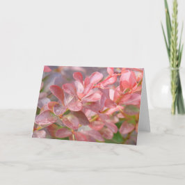  roze bijkantoren kaart