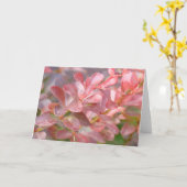  roze bijkantoren kaart (Gele Bloem)