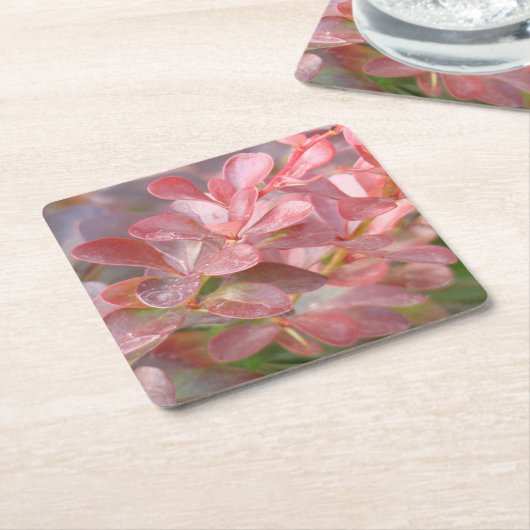  roze bijkantoren kartonnen onderzetters (Schuin)