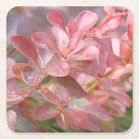  roze bijkantoren kartonnen onderzetters (Voorkant)