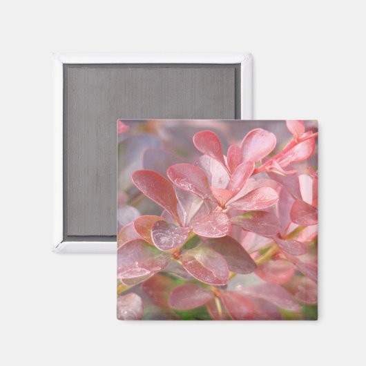 roze bijkantoren magneet (Voorkant / Achterkant)