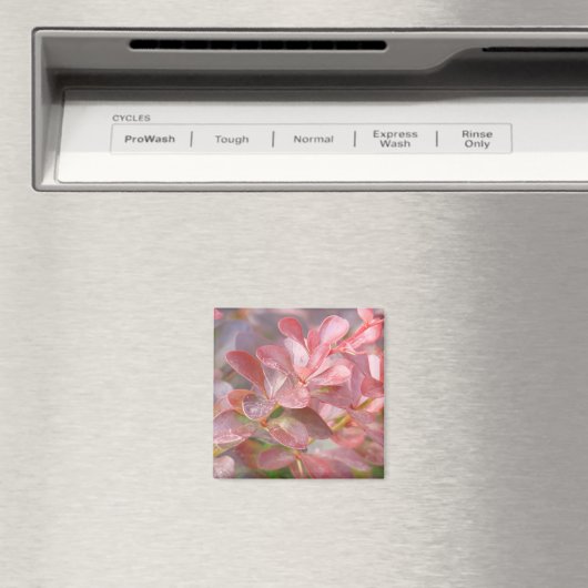  roze bijkantoren magneet (Insitu (Vaatwasser))