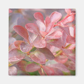  roze bijkantoren magneet (Voorkant)