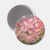  roze bijkantoren magneet (Voorkant / Achterkant)