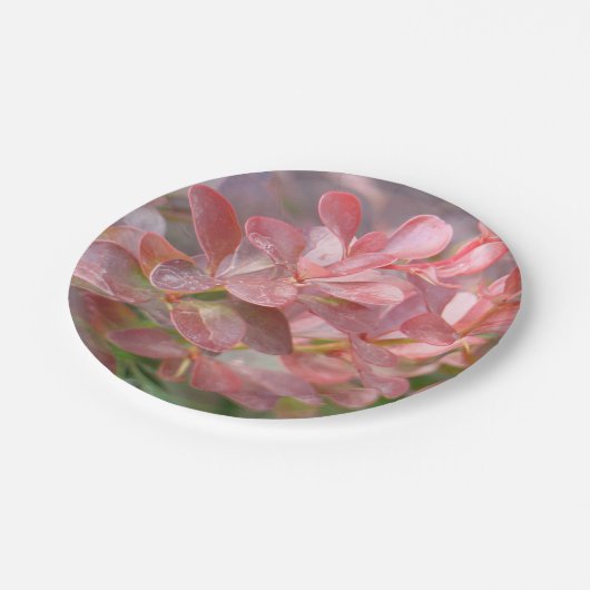  roze bijkantoren papieren bordje (Gekanteld)