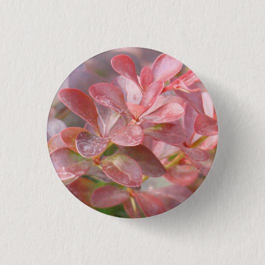  roze bijkantoren ronde button 3,2 cm (Voorkant)