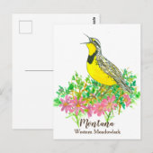 Roze Bitterroot Western Meadowlark Montana Briefkaart (Voorkant / Achterkant)