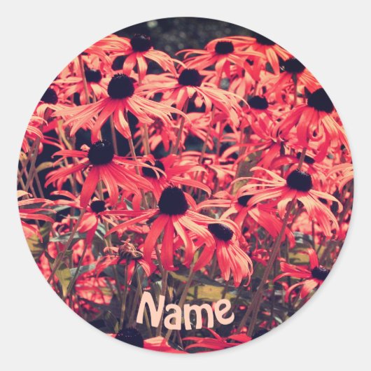 Roze Black Eyed Susan Flowers gepersonaliseerd Ronde Sticker (Voorkant)