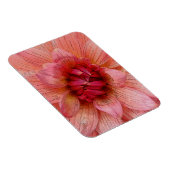 roze bladen magneet (Rechterzijde)