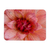 roze bladen magneet (Horizontaal)