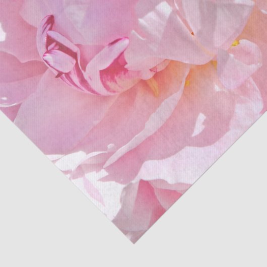 roze bladen tissuepapier (Detail)