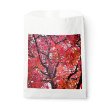 Roze bladeren