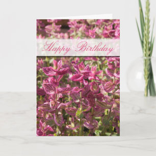 Roze bladeren op Plant stalks foto Kaart