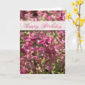 Roze bladeren op Plant stalks foto Kaart (Gele Bloem)