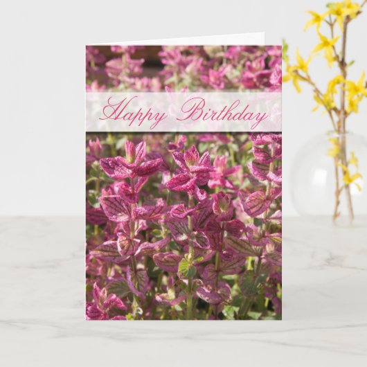 Roze bladeren op Plant stalks foto Kaart (Gele Bloem)