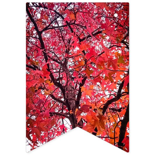 Roze bladeren vlaggetjes (Tweede vlag)