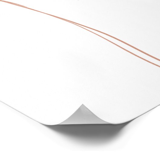 Roze & Blauwe Ballon Geslacht onthullen baby showe Poster (Hoek)