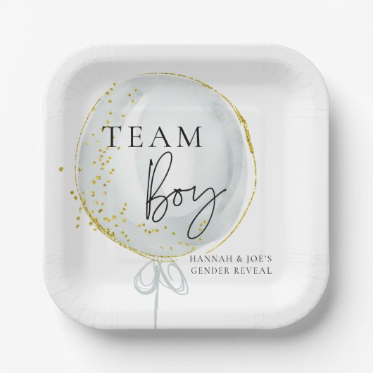 Roze & Blauwe Ballon Geslacht onthullen Team Boy Papieren Bordje (Voorkant)