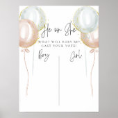 Roze & Blauwe Ballon Hij of Zij Stemmende Geslacht Poster (Voorkant)