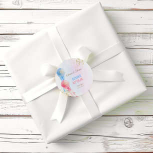 Roze Blauwe Ballonnen Geslacht Reveal Shower Bedan Ronde Sticker