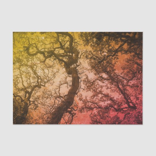 Roze blauwe bomen tissuepapier (Voorkant)