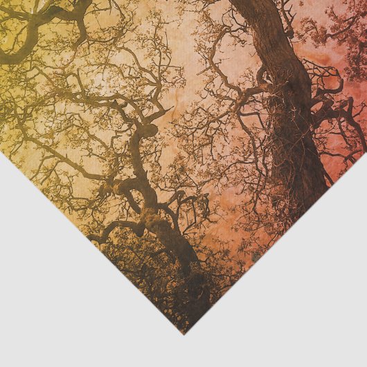 Roze blauwe bomen tissuepapier (Detail)