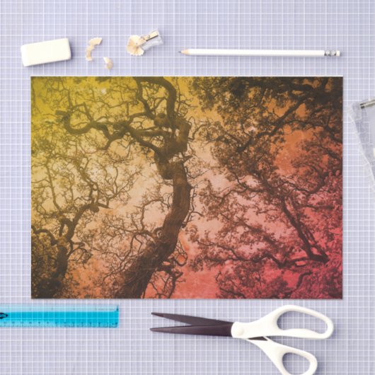 Roze blauwe bomen tissuepapier (Craft)