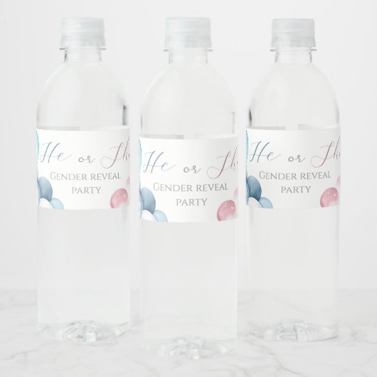Roze & Blauwe boog Waterverf Geslacht onthullen Waterfles Etiket (Flessen)