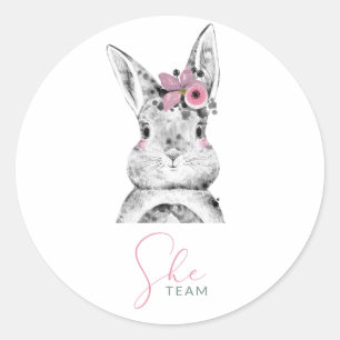 Roze Blauwe Bunnies Geslacht Klassieke Rond Stisch Ronde Sticker