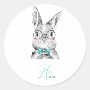 Roze Blauwe Bunnies Ronde Sticker