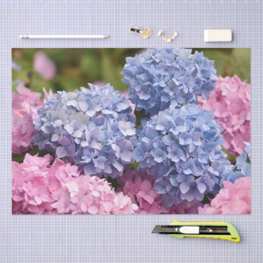 Roze blauwe hydrangea Bloem Geslacht Tissuepapier (Craft)