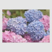 Roze blauwe hydrangea Bloem Geslacht Tissuepapier (Voorkant)