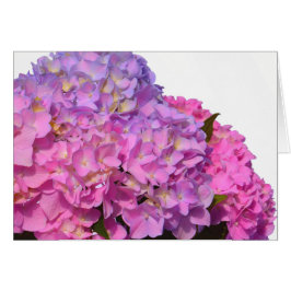 Roze blauwe hydrangeas elegante roze paarse bloeme