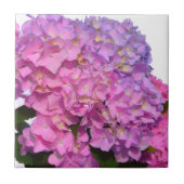 Roze blauwe hydrangeas elegante roze paarse bloeme tegeltje (Voorkant)