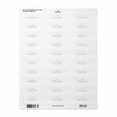 Roze blauwe schommelpaard adreslabels etiket (Full Sheet)