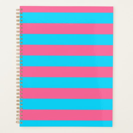 Roze Blauwe Strepen Patroon Planner (Voorkant)