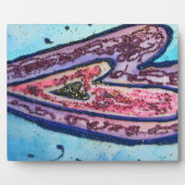 Roze blauwe trouw glitter maakt kunst drukplaten fotoplaat (Voorkant)